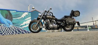 Honda Shadow VT 750 2008