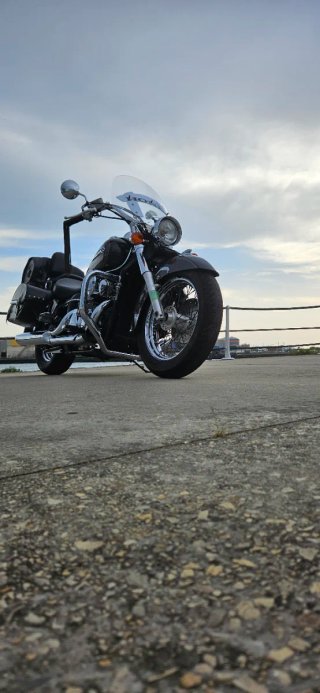 Honda Shadow VT 750 2008