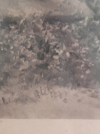 2 Láminas Antiguas Marco Madera medidas 80 x  50