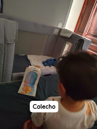 Cuna colecho Chicco Next2Me Forever