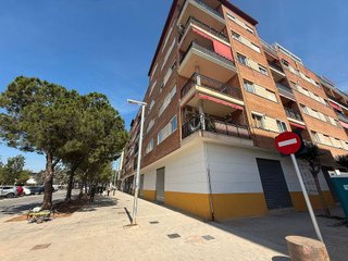 Local comercial en alquiler en Catarroja