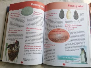 Gran libro de el porqué de las cosas