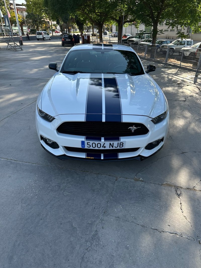 Ford Mustang - foto 1