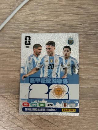 Cromo Argentina Mundial Eternos 22