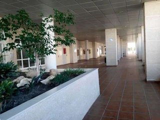 Piso en alquiler en Teatinos en Málaga