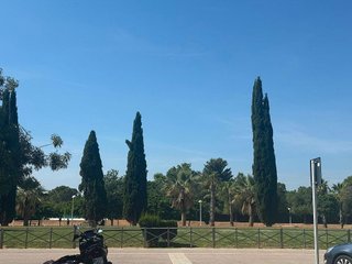 Local comercial en alquiler en Catarroja
