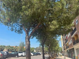 Local comercial en alquiler en Catarroja