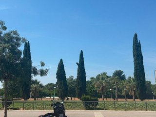 Local comercial en alquiler en Catarroja