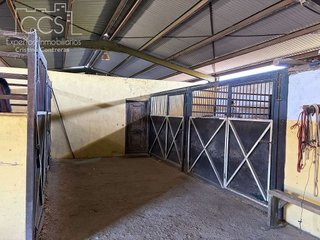 Casa rural en venta en Pilas