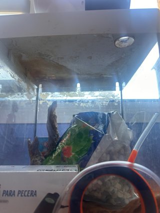 Acuario Nano Aqualed 20L