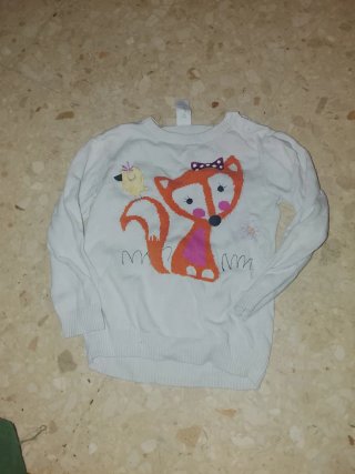 Jersey infantil zorro y pájaro 3-4 años