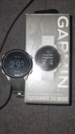 Reloj Garmin Forerunner 245 Music