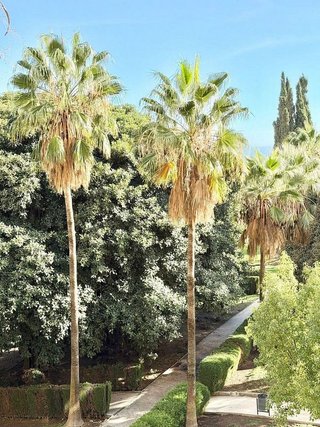 Piso en venta en Parque de la Paloma en Benalmádena