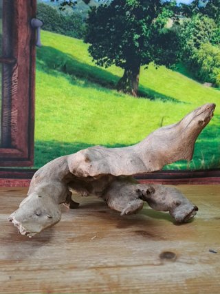 Magnífica Raíz Natural para acuario 34×30 Cm