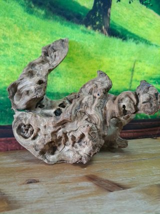 Magnífica Raíz Natural para acuario 34×30 Cm