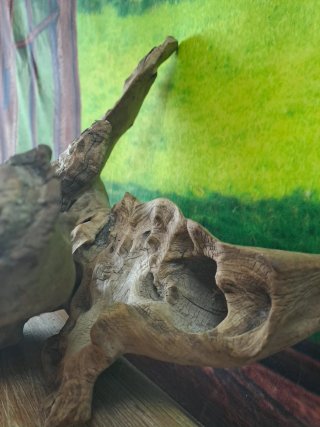 Magnífica Raíz Natural para acuario 34×30 Cm