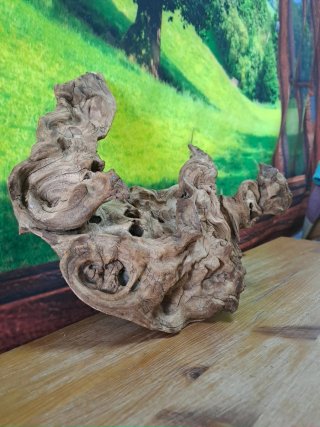 Magnífica Raíz Natural para acuario 34×30 Cm