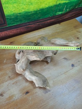 Magnífica Raíz Natural para acuario 34×30 Cm