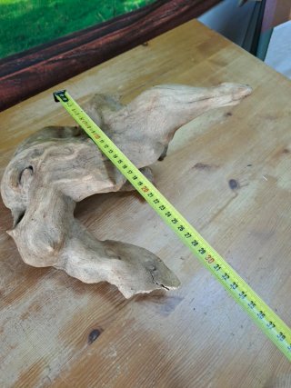 Magnífica Raíz Natural para acuario 34×30 Cm