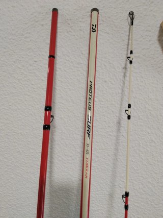 Caña de pescar Daiwa Proteus Surf