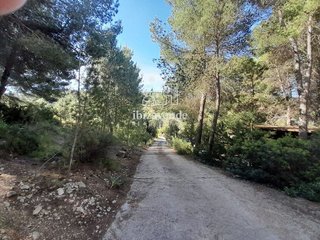 Casa en alquiler en Sant Joan de Labritja
