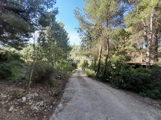 Casa en alquiler en Sant Joan de Labritja