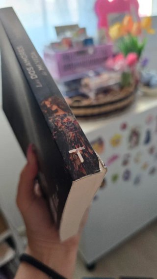 Libro Los dos amores de mi vida