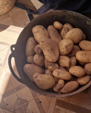 Capazo con patatas