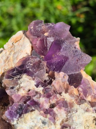 Fluorita de Berbes