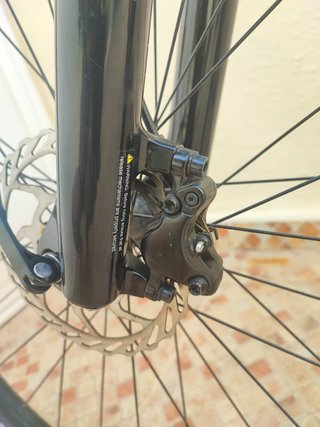 Cannondale Trail 5 29'' M Amarillo Mango