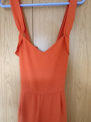 Mono elegante naranja fiesta