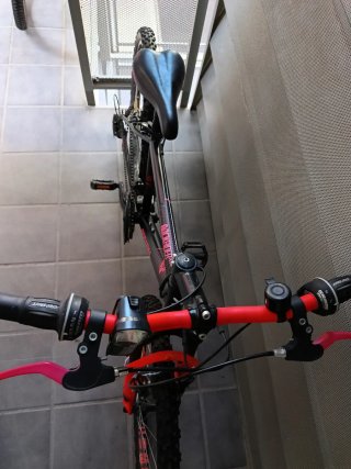 Bici 24"