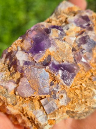Fluorita Berbes Morada