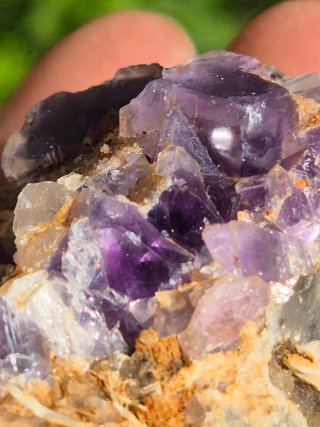 Fluorita Berbes Morada
