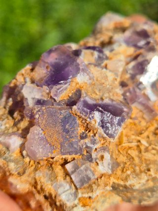 Fluorita Berbes Morada