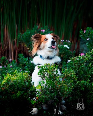 SESION FOTOGRAFICA EN BARCELONA Y ALREDEDORES