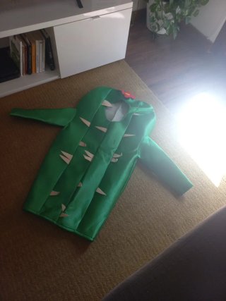 Disfraz Cactus Talla Infantil