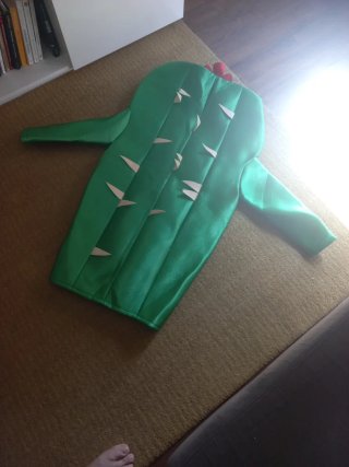 Disfraz Cactus Talla Infantil