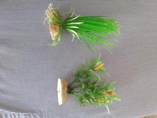 Plantas Artificiales Acuario Decoración (2 ud)