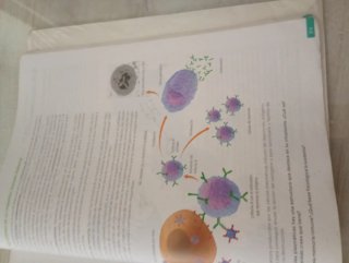 Biología, 2 bachillerato, Revuela Guía del prof...
