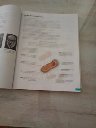 Biología, 2 bachillerato, Revuela Guía del prof...