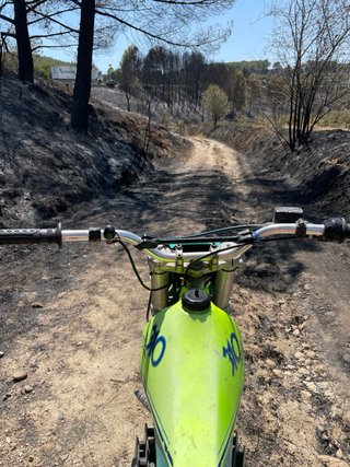 Montesa Cota 310 Trial