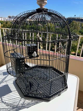 Jaula decorativa para pájaros negra
