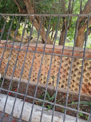 Reja de hierro forjado