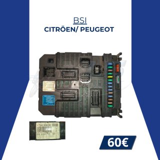 BSI Citroën/Peugeot 96 592 856 80