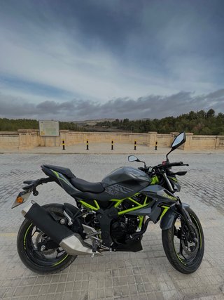 Kawasaki Z125 Gris/Verde Manual