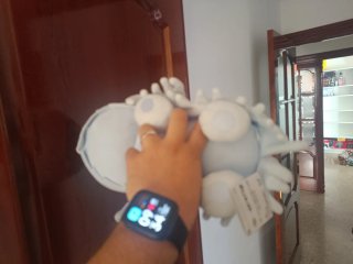 Peluche Pokémon Greavard