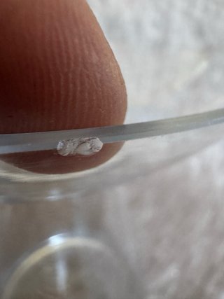 Vaso di vetro trasparente per fiori
