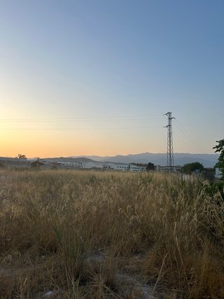 Mantenimiento Parcelas y servicios AGRICOLAS