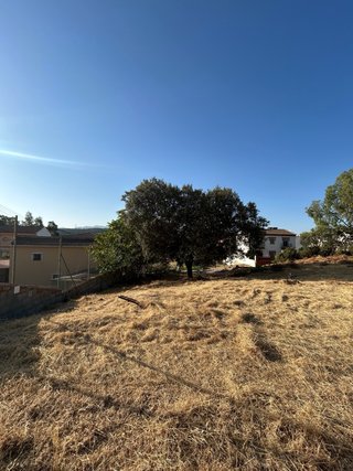 Mantenimiento Parcelas y servicios AGRICOLAS